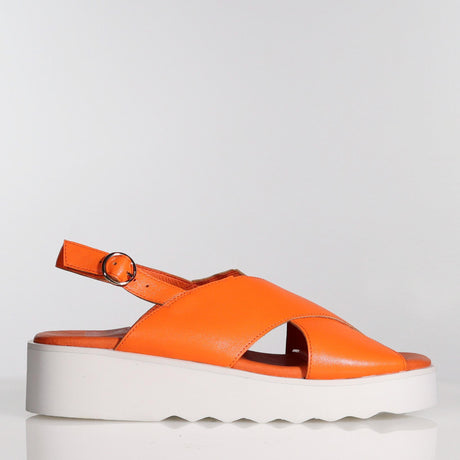 June Persimmon / 36 Footwear Minx